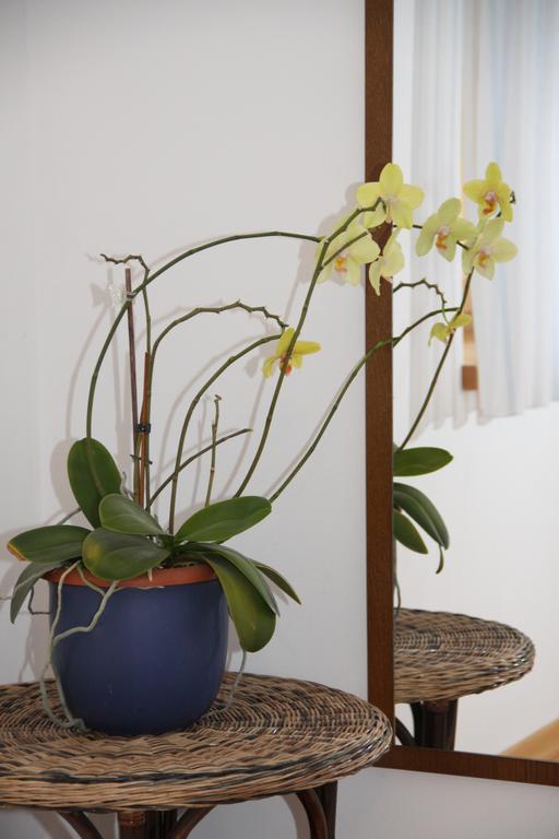 Neu-schoetzerhof Farm stay