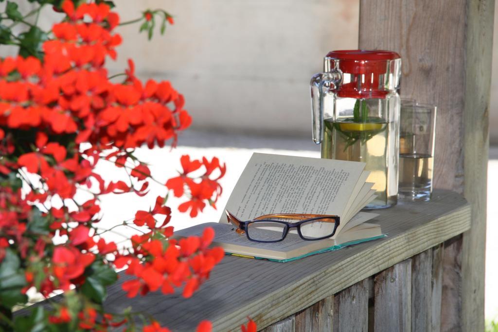Farm stay Neu-schoetzerhof *